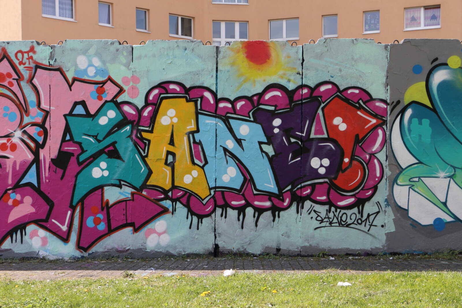 104a-SANE_IMG_5696v