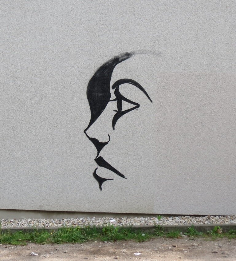 Profil mit Haar
