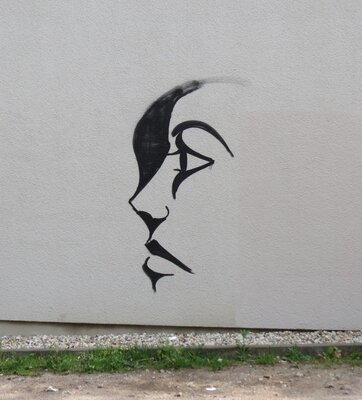 Profil mit Haar