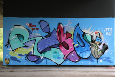 Unter der Brücke:  RICO 79 mit "Wings For Color"  - Let's Go...