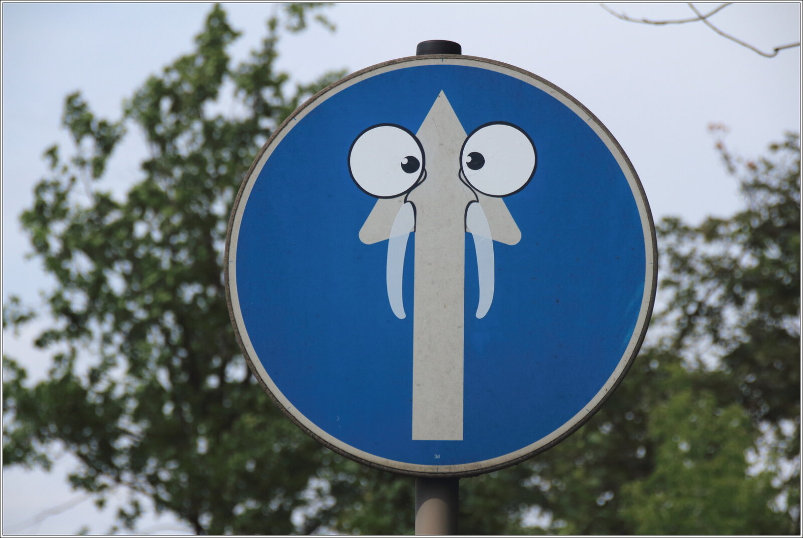 30-Elefant will geradeaus, von Gynti
