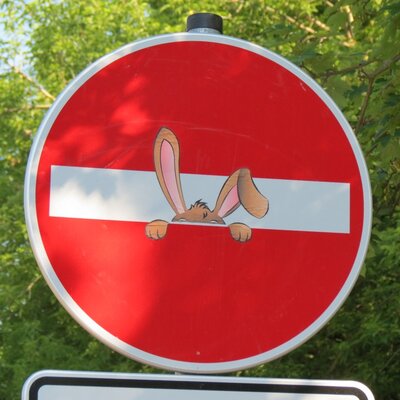 Halle-Saale-Schleife