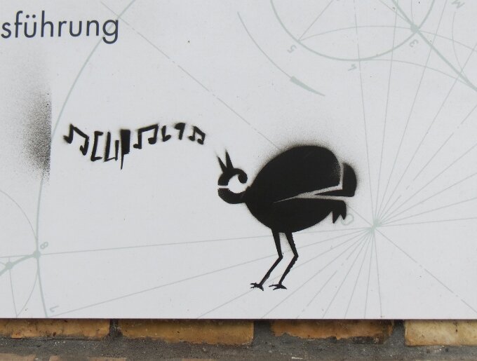 Vögel Eierleger 1.