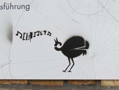 Vögel Eierleger 1.