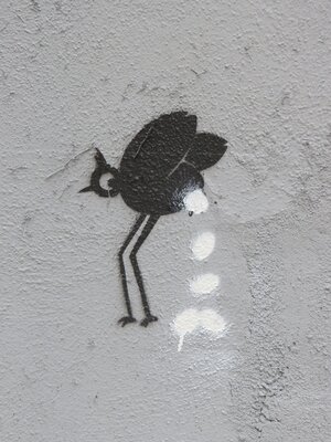 Vögel Eierleger 2.