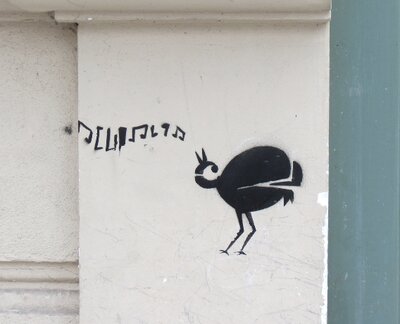 Vögel Eierleger 3.