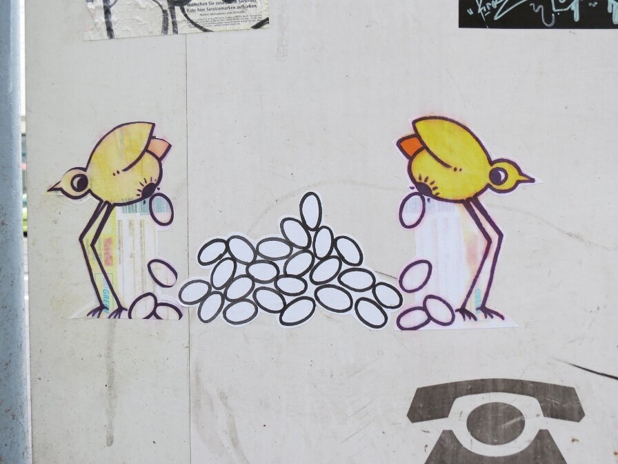 Vögel Eierleger 6.