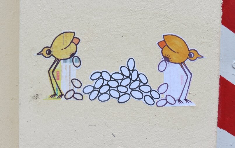 Vögel Eierleger 7.