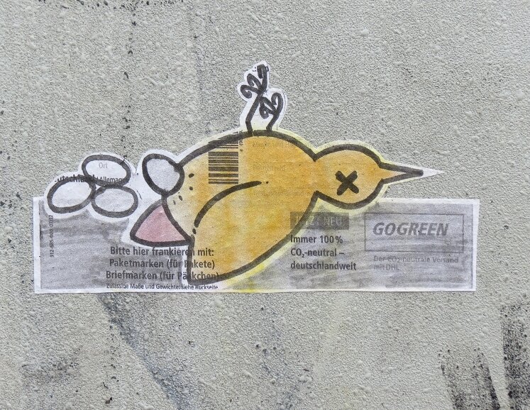 Vögel Eierleger 11.