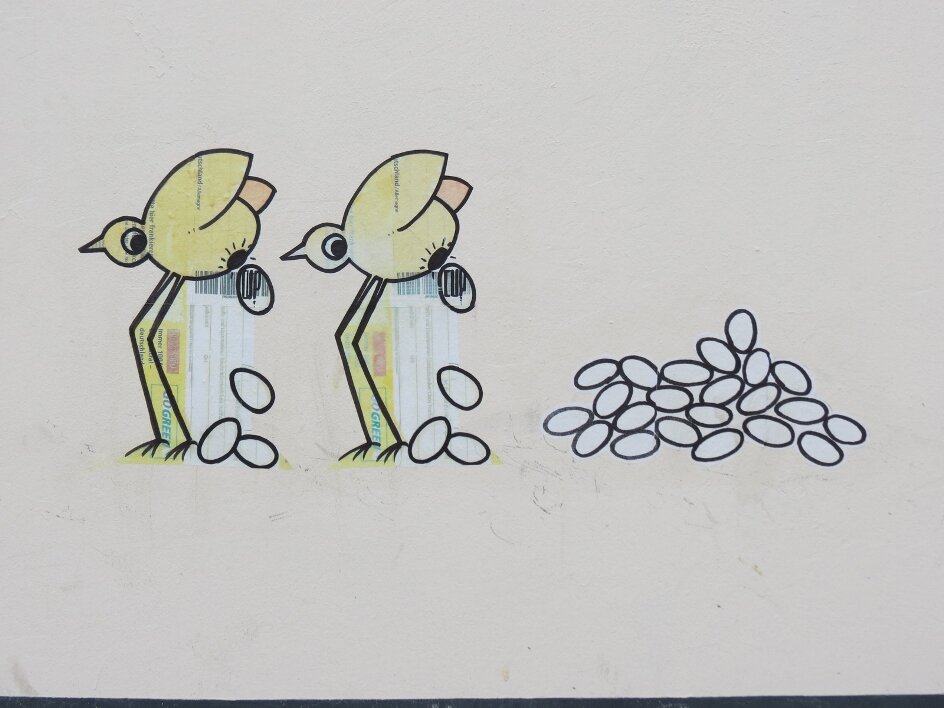 Vögel Eierleger 12.