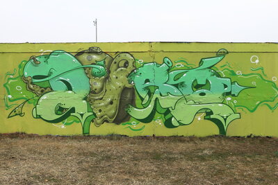 Kaolinstraße Halle-Neustadt (195): DIRO