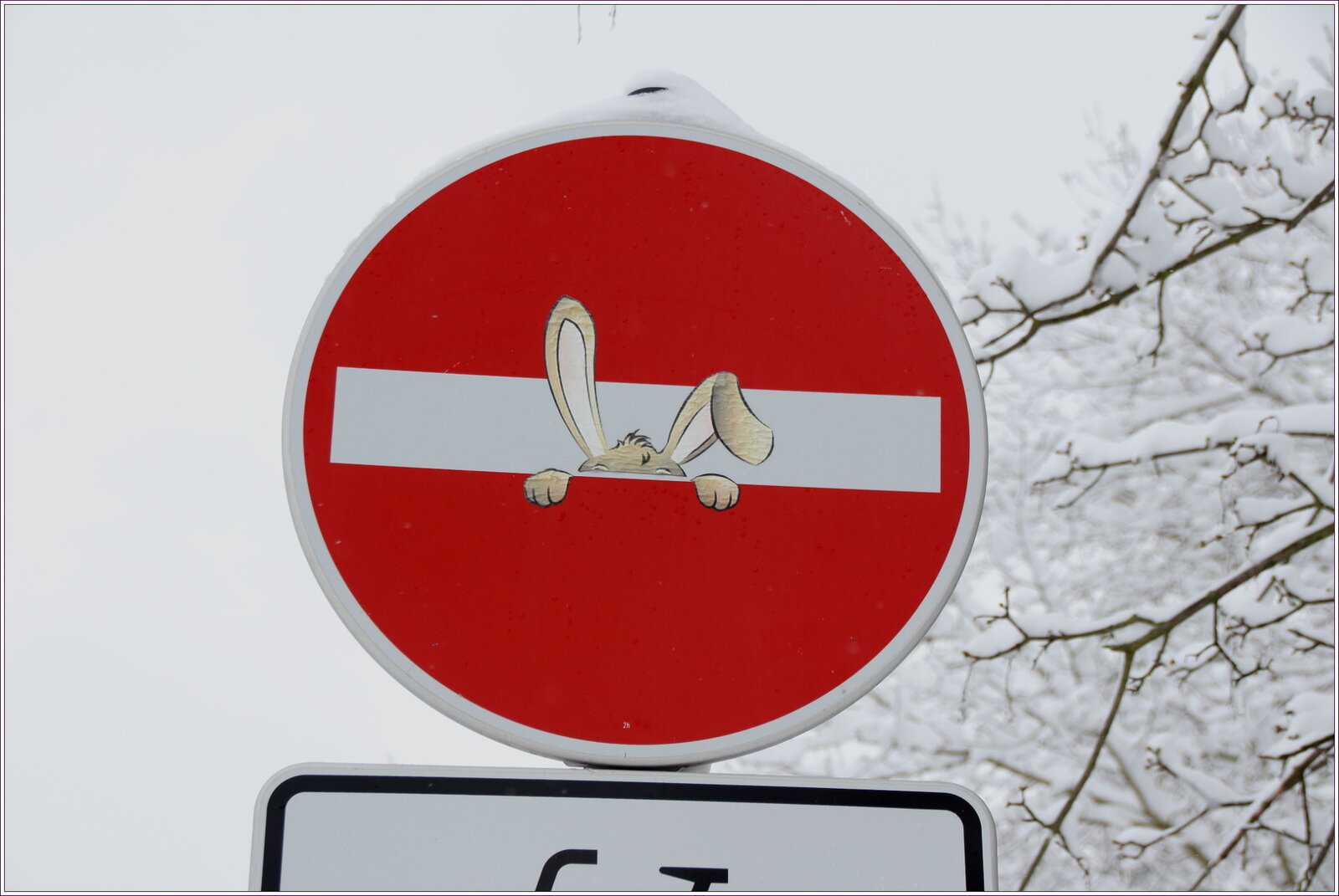 Neues von der Schilderfront... u. a. Raucherbereich