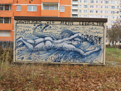PANIK Schwimmer