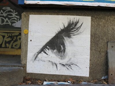 Augen 4.