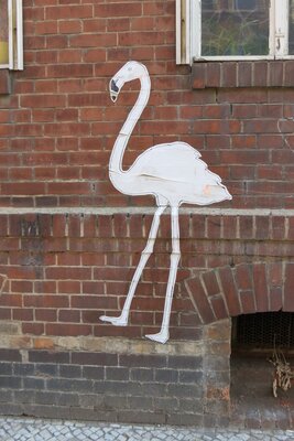 Wand-Storch