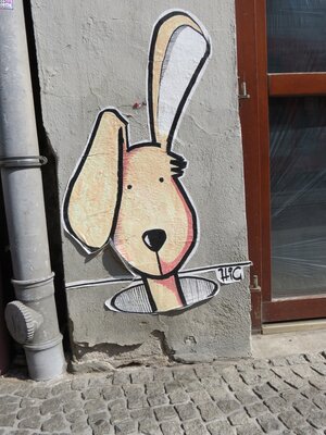 Wand-Hase