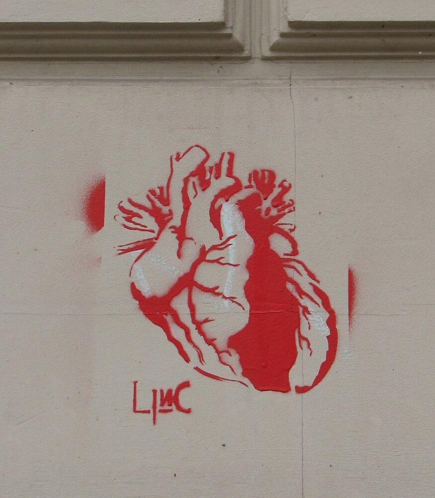 LINC-Herzblut