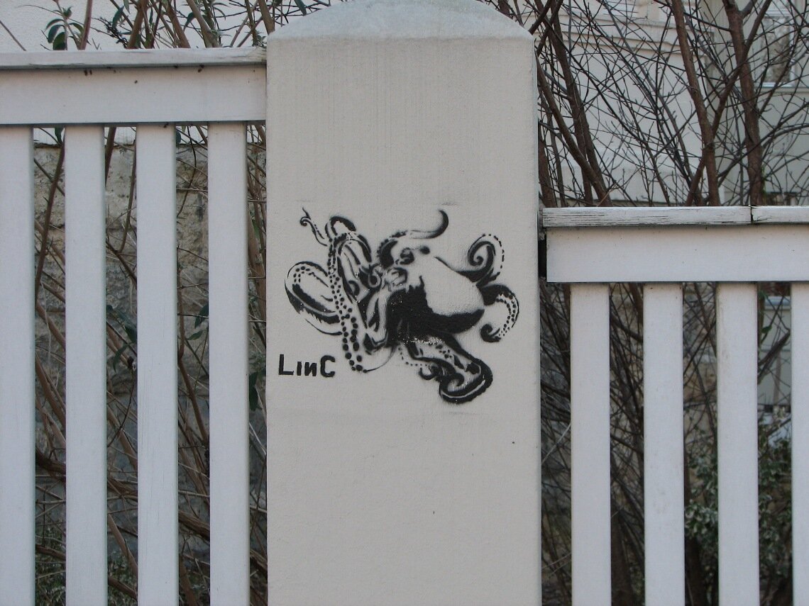 LINC octopus