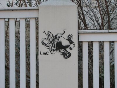 LINC octopus
