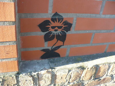 Sonnenblume mit Sonnenbrille