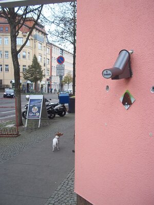 Rumspitze in der Reilstraße 2