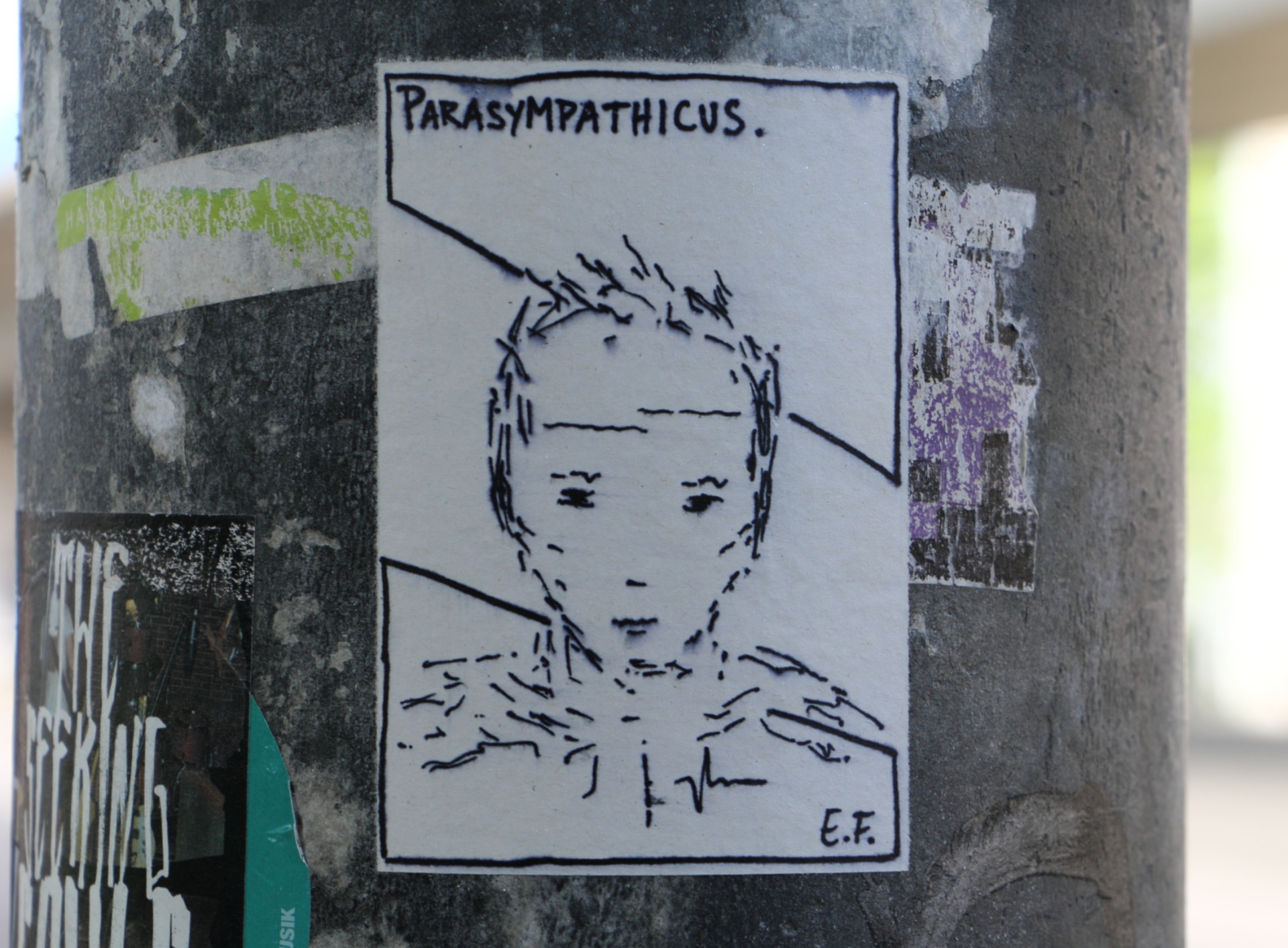 E. F. Parasympathikus