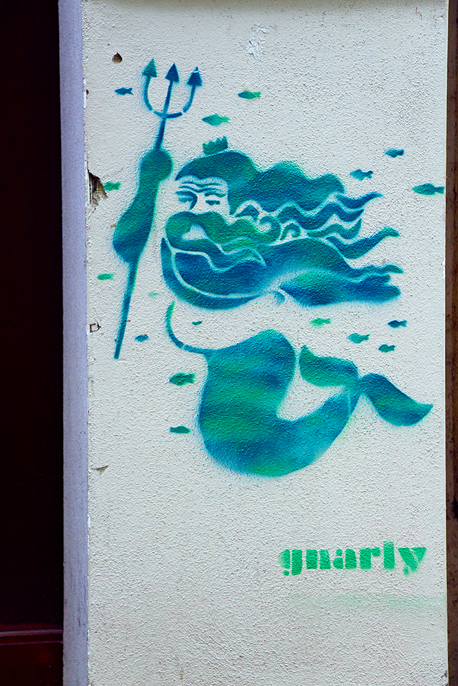 Vollbärtige Meerjungfrauen und wissende Füchse: Gnarly